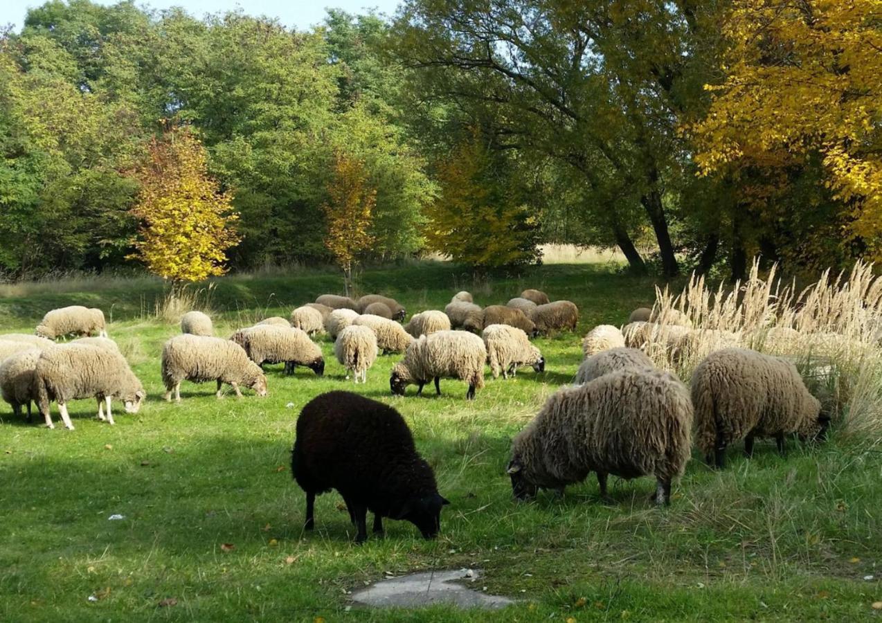 Görlitz Gut Am See מראה חיצוני תמונה